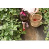 Cueillette participative de mûres Bio et éthiques